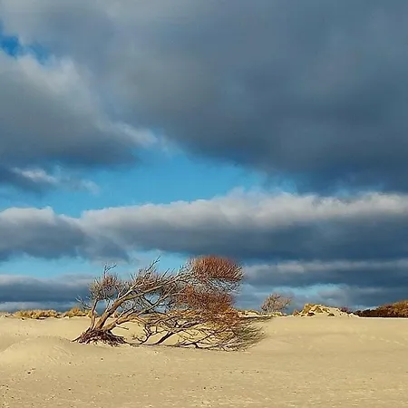 Sea Island View * 보르쿰